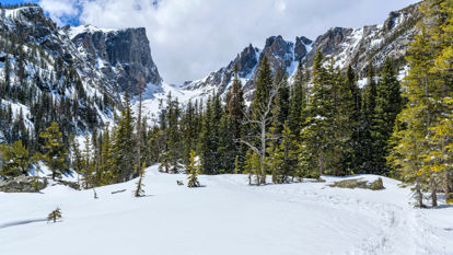 Picture of Snow Shoe Trip to Wild Basin