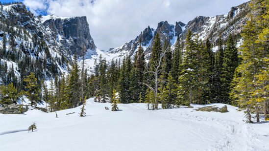 Picture of Snow Shoe Trip to Wild Basin