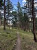 Picture of October Hike to Young Gulch