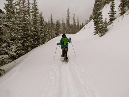 Picture of Michigan Ditch Snowshoe Trip at Cameron Pass