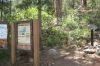 Picture of Mount McConnel Hike