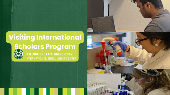 Picture of International Summer Research Internship Program Fees - Custom