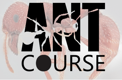 Picture of Ant Course — Fall 2026