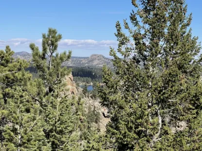 Picture of Lady Moon Hike
